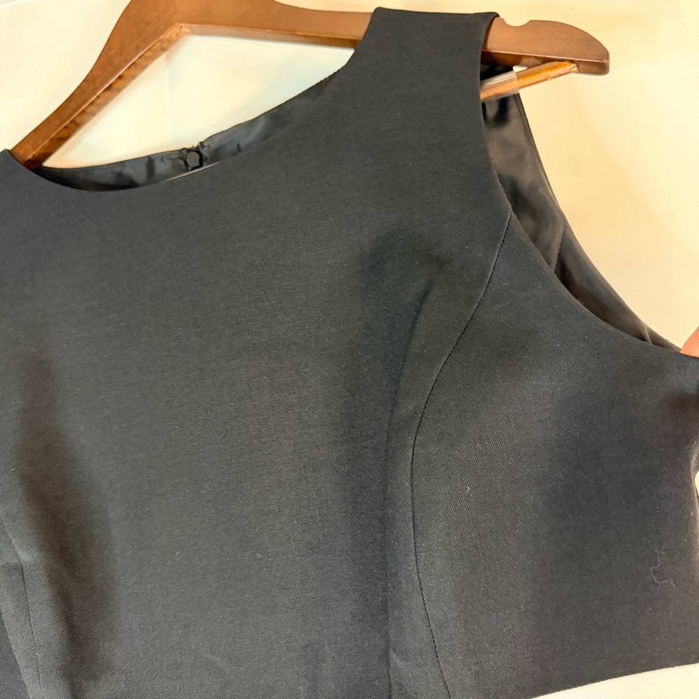 BLACK LABEL EVAN-PICONE Women’s Size 4 Dress Sheath Mini Knee Length Lined - Picture 6 of 15